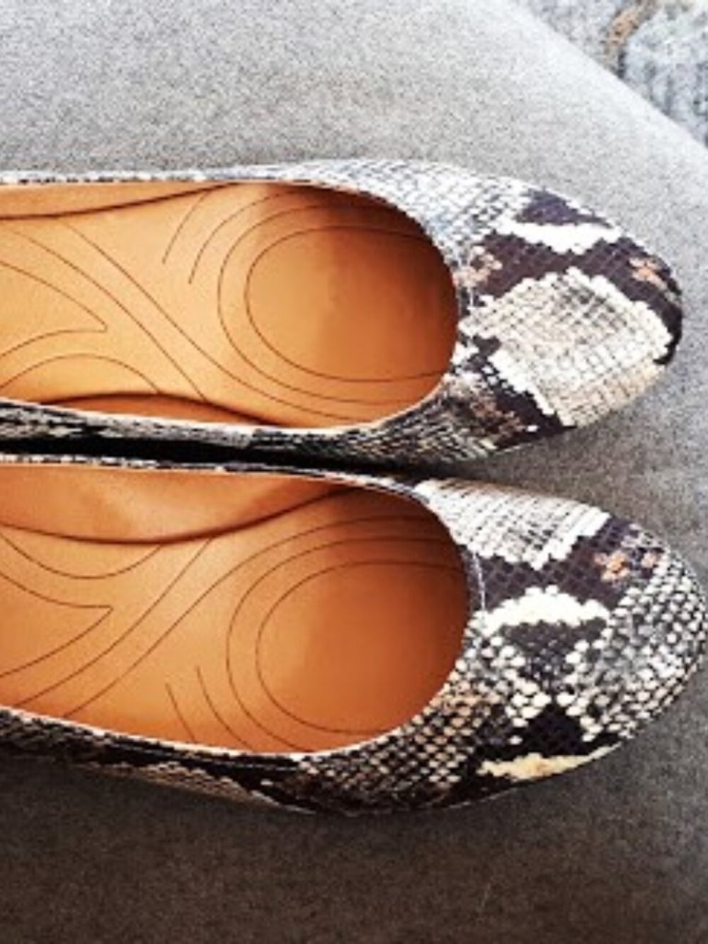Clarks shoes, size 12, leather